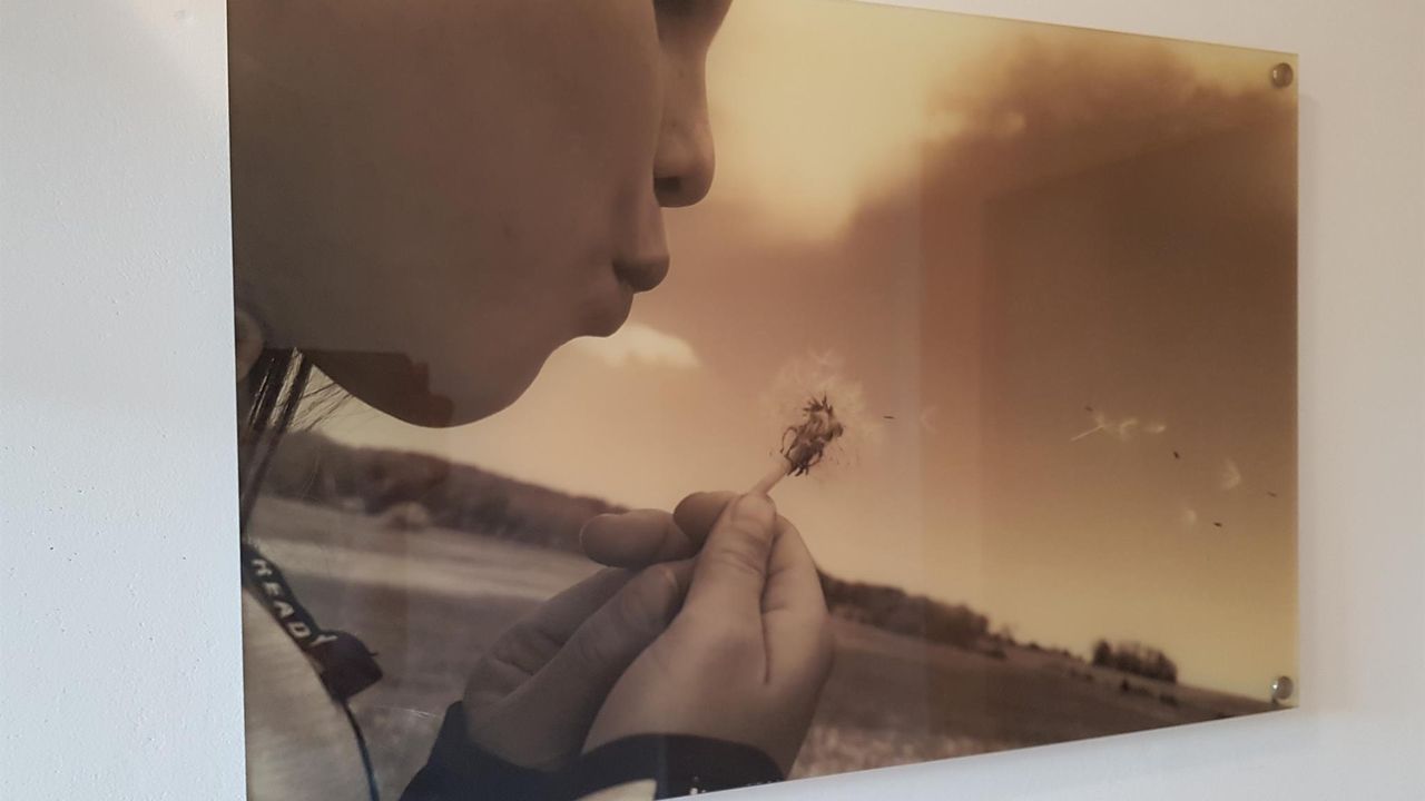 Pusteblume Pusteblume